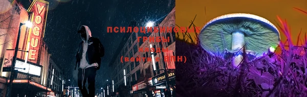 скорость Заволжье