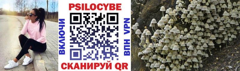Псилоцибиновые грибы Psilocybine cubensis  Купить  Котельниково 